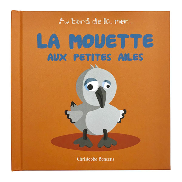 LA MOUETTE AUX PETITES AILES